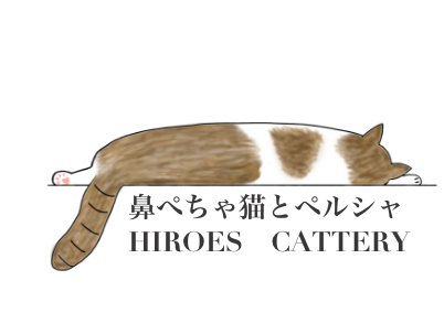 HIROES CATTERY-ヒーローズキャッテリー-　大阪府松原市のキャッテリー